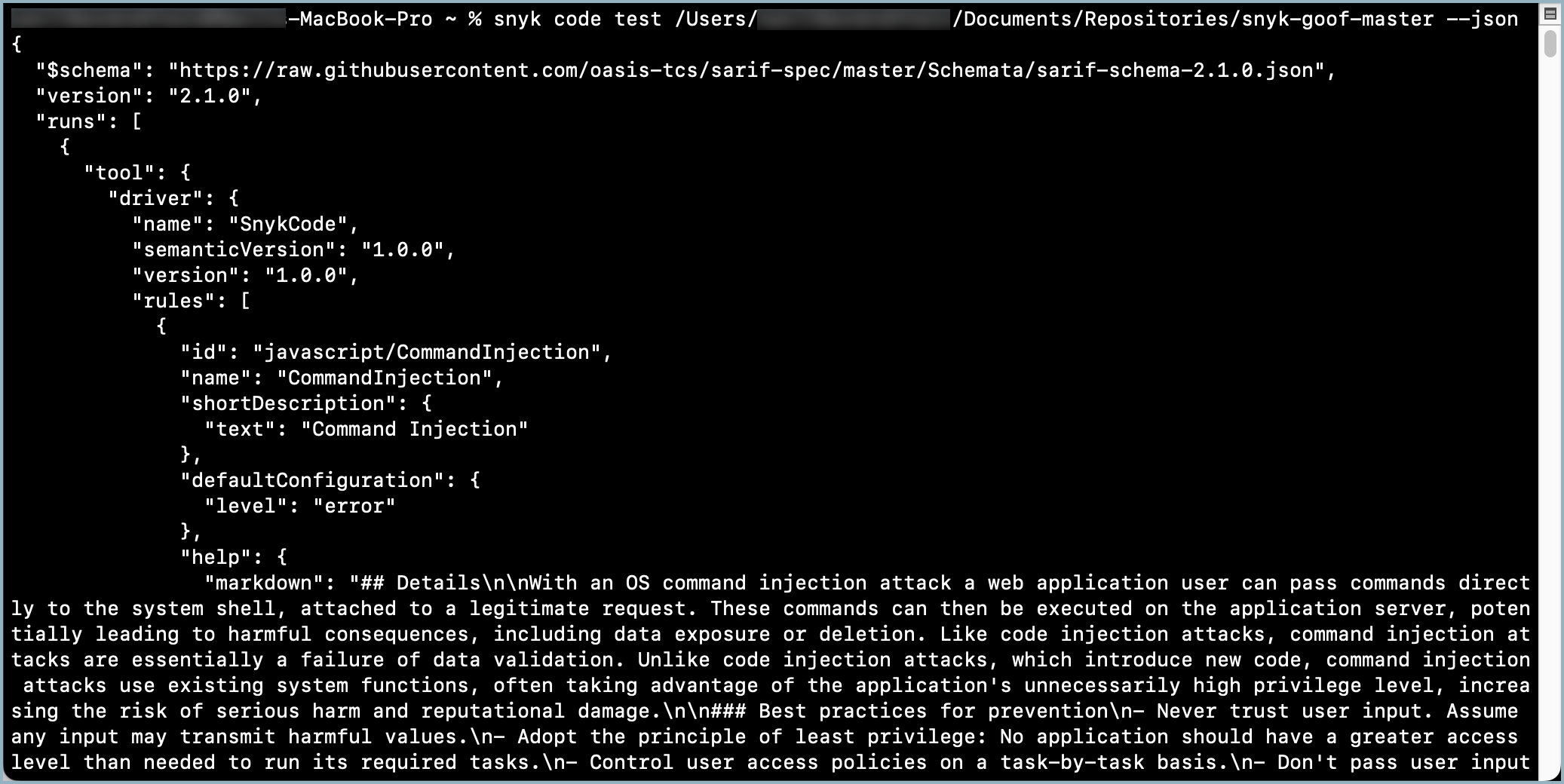 JSON 형식의 snyk code test 결과