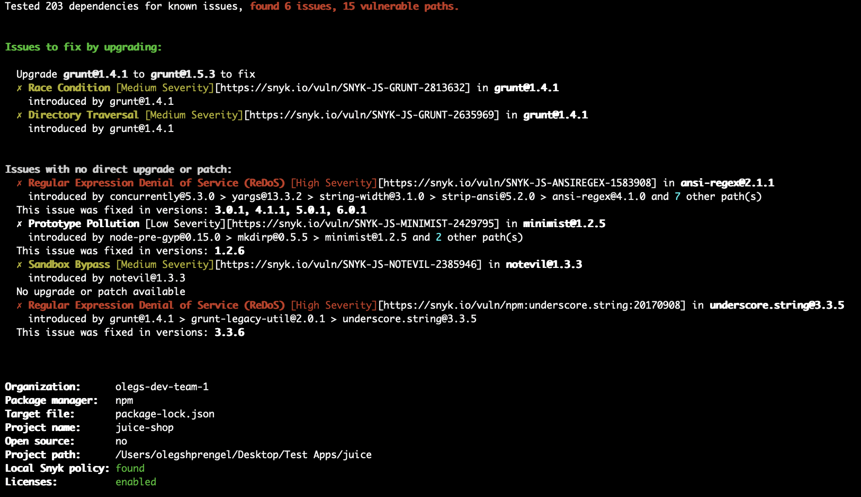 Snyk 오픈소스 CLI 테스트 결과.
